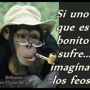 Meet your Posher, Magaly